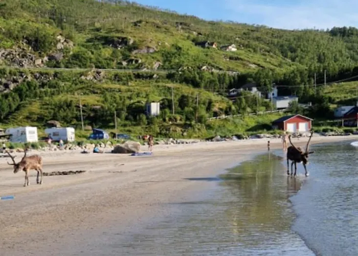 Grotfjord Dom wakacyjny